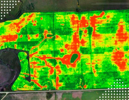 Спутниковый мониторинг – важное начало положено!