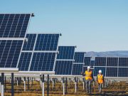 Цифровизация – новые онлайн платформы и актуальные направления