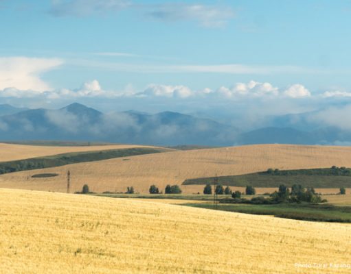 Система цифровизации госуслуг «не доведена до ума»?