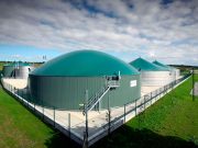 Цифровизация, биогаз, технологии – и все это в Акмолинской области совсем скоро