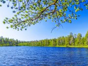 Электротранспорт за 500 тенге по Боровому стал доступен казахстанцам