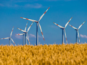 Казахстан будет бороться с глобальным потеплением при помощи многомиллиардного проекта