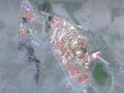 5552 стихийных свалок обнаружено в 2023 году посредством космомониторинга