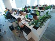 Что такое офисные риски, «обязательный запрет» и как они связаны с оргтехникой?