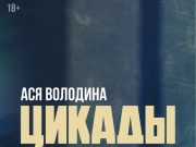 Яндекс Плюс: весь контент в одной подписке – от музыки до кино и книг