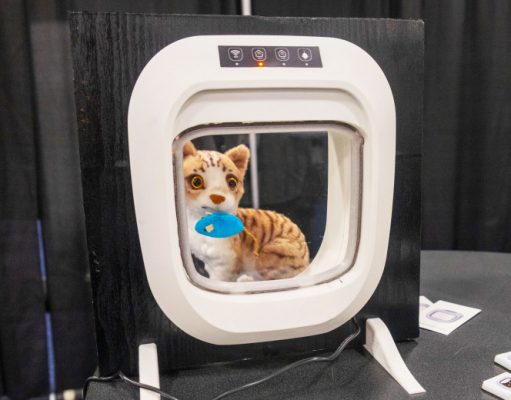 Дверь с искусственным интеллектом – для кошек с ненужной добычей