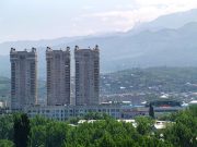 Введем цифровую сертификацию – решим проблемы?