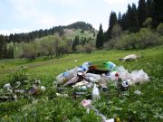 Как ликвидируют стихийные свалки? При помощи GPS