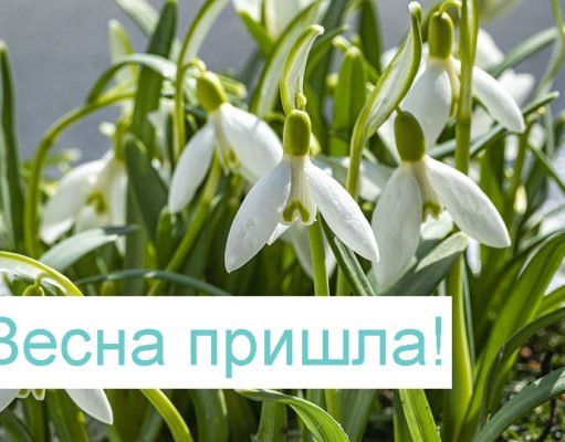Наурыз құтты болсын!