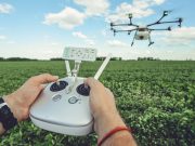 Казахстан закупит дроны для борьбы с нашествием саранчи