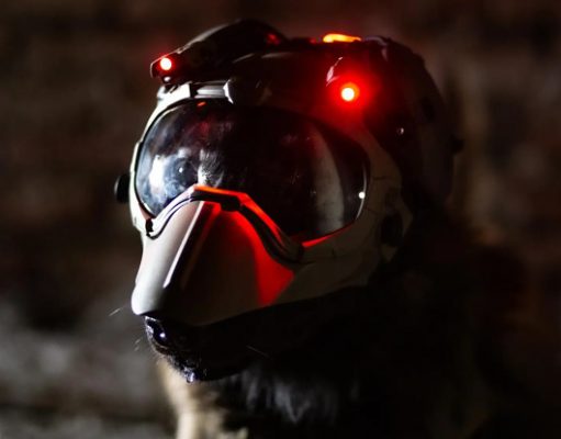 Dark Systems выпустила крутой защитный шлем для служебных собак