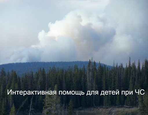 В «Юный спасатель» первоклассники зайдут через QR