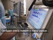 Биоинспирированные роботы – начало положено?