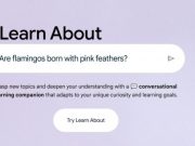 Google-дің жаңа құралдары білім алу тәжірибесін өзгертеді