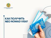 Neo Nomad Visa: жаңа мүмкіндіктер мен талаптар