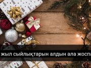 Мерекеге дайындық. Жаңа жылға не сыйлауға болады?