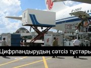 «Кеден» жүйесінің іске қосылуында не кедергілер болды?