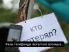 Телефонды жоғалтып алған жағдайда не істеу керек?