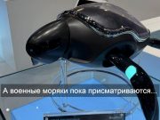 Робот-черепаха Beatbot скоро отправится в океан