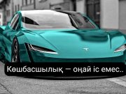 BYD мен Tesla: 2024 жылы электр көліктерінің нарығында кім көш бастады?