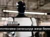 Tesla 2025 жылы 10 000 робот Optimus шығарады