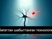 Ғалымдар өрмекшінің жібегіндей жіңішке талшықтарды 3D басып шығарудың жаңа әдісін ойлап тапты