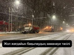 Цифрлық технологиялар жол апатын азайта ала ма?