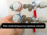 Жас өнертапқыш су құбырынан электр қуатын өндірудің жолын тапты