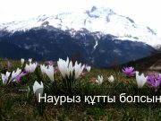 Құрметті оқырман!