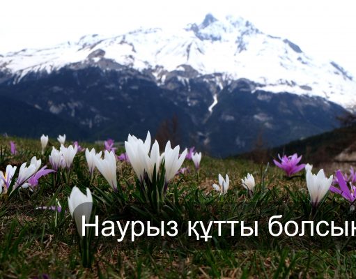 Уважаемые читатели!