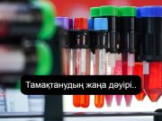Цифрлық кеңістікте дәм сезіну мүмкін бе? Ғалымдар жаңа технология әзірледі