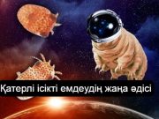 Ғалымдар адам ағзасына тихоходка ДНҚ-сын енгізіп, ғарышқа жол ашпақ