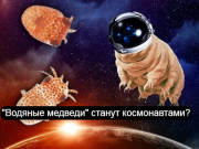 Группа учёных намерена интегрировать в человека ДНК тихоходок, открыв двери покорителям космоса