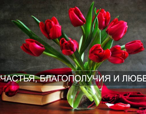 Дорогие читательницы нашего портала!
