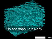 Использование смартфонов защитит пожилых людей от деменции?