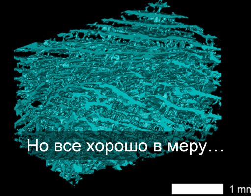Использование смартфонов защитит пожилых людей от деменции?