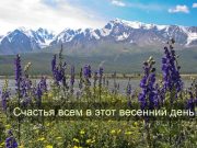 Дорогие читатели нашего портала!