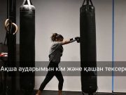 Мобильді төлемдерге салықтық бақылау 2026 жылдан бастап жаңа ереже бойынша жүргізіледі