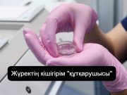 Сәбилерге арналған: АҚШ-та өздігінен еритін шағын жүрек құрылғысы жасалды