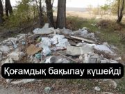 @TazaQazBot чат-ботына 18 мыңнан астам өтініш түсті