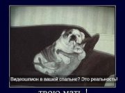 Не лишним будет проверить свою камеру