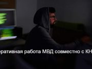 Раскрыта преступная сеть по продаже персональных данных казахстанцев