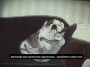 Бейнебақылау ма, бейнеқауіп пе? Желіде ашық тұрған мыңдаған камера анықталды