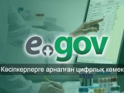 eGov Business қосымшасы бизнесті басқаруды жеңілдетеді