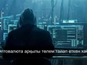 Шетелдік компаниялардың жүйесін бұғаттап, төлем сұраған хакер ұсталды