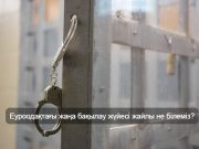 Еурокомиссия ЕО азаматтарын толық цифрлық бақылауға алмақ