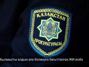 Астанада жасанды интеллект көмегімен қылмыстың алдын алу жобасы қолға алынды