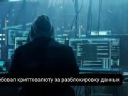 В Алматы задержали мужчину, взламывавшего серверы зарубежных компаний