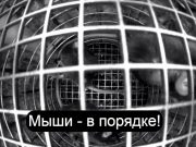 Спутник «Бион-М» №2 продолжает уникальный эксперимент