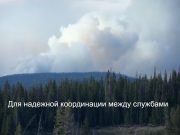 Как цифровизация поможет в борьбе с катастрофами